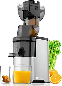 Masticating Juicer Machines