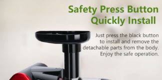 Aobosi Slow Cold Press Juicer