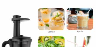 Amzdeal Slow masticating Juicer